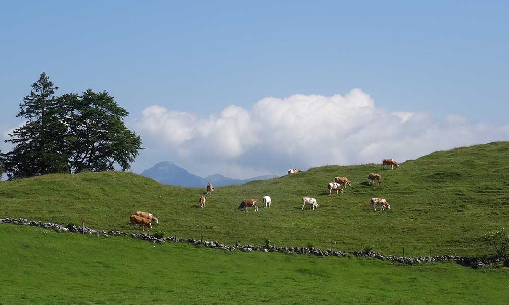 Pyramidenspitze